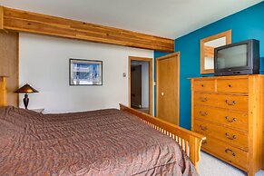 Updated 1 Br - Ski-in/ski-out Access 1 Bedroom Condo - No Cleaning Fee