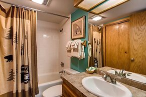 Updated 1 Br - Ski-in/ski-out Access 1 Bedroom Condo - No Cleaning Fee