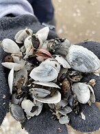 Hotel Villa Seeschlösschen