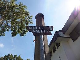 Rental Lodge WHITE RABBIT Madarao kogen Cottage RABBIT