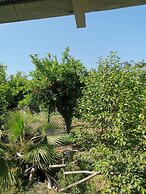 La Fattoria dei Nonni Resort dell'Etna