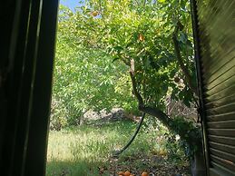La Fattoria dei Nonni Resort dell'Etna