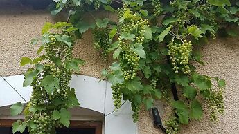 Les Insolites de la Pouillyzotte