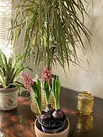 Au Coeur Des Plages De Harhoura Rabat