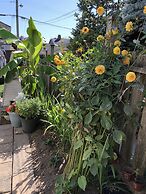 Cozy Bedrooms Guest House