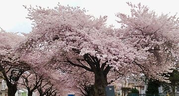 Cozy Bedrooms Guest House