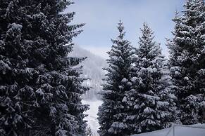 Shymbulak Resort House