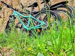 Wellness Hotel Garni Krone