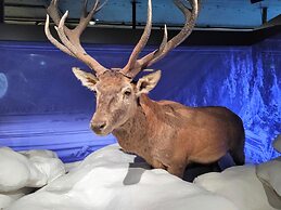 Wellness Hotel Garni Krone