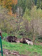 Wellness Hotel Garni Krone