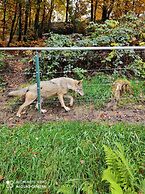 Wellness Hotel Garni Krone