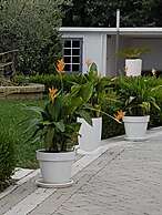 Residenza delle Grazie