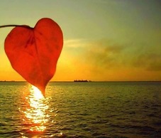 B&B I Cinque Continenti