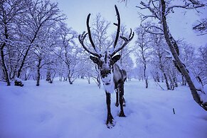Snowhotel Kirkenes