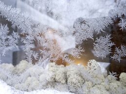 LAURI Historical Log House Manor