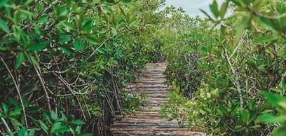 Cormoran Boutique Hotel & Cenote Tulum