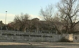 Stead House-3bd/2ba, Ttu,  Fall Specials! 3 Bedroom Home by RedAwning