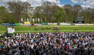 Hampton by Hilton Hamilton Park