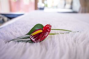 Pousada Cavaleiro dos Pireneus