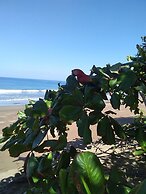 Cabinasyafethosa caletas