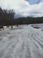 Pondok Oma Surf Simeulue