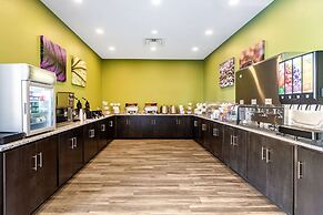 Sleep Inn & Suites Mt. Hope near Auction & Event Center