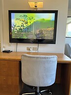 Sydney Hyde Park Paxsafe Apartments