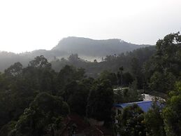 The Onex Paradise Ella