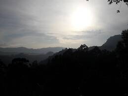 The Onex Paradise Ella