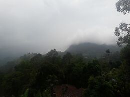 The Onex Paradise Ella