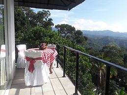 The Onex Paradise Ella