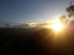 The Onex Paradise Ella