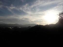 The Onex Paradise Ella