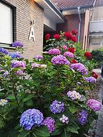 Hotel & Pension Dat greune Eck