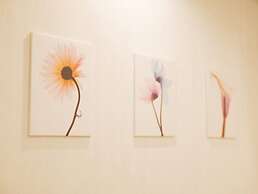 Fun Fun Fun Kingdom - Adults Only