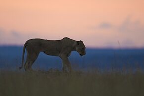 Mara Big Five Lodge