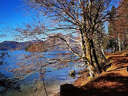 Ferienwohnung Landhaus alpinum