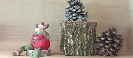 Mountainlodge Dorfhaus