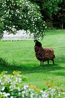 Chambres d'Hôtes Le Mouton