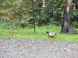 Lochwood House B&B and Self Catering