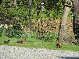 Lochwood House B&B and Self Catering