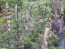 Lochwood House B&B and Self Catering