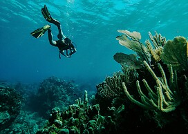 Tranquilseas Eco Lodge & Dive Center