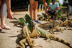 Tranquilseas Eco Lodge & Dive Center