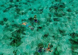 Tranquilseas Eco Lodge & Dive Center