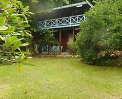 Treetops Lodge