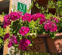 Alojamientos Rurales La Aldaba