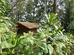 Supreme Adventure Park Bunyonyi