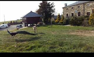 Casa Rural O Ventorrillo