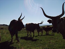 Casa Rural O Ventorrillo